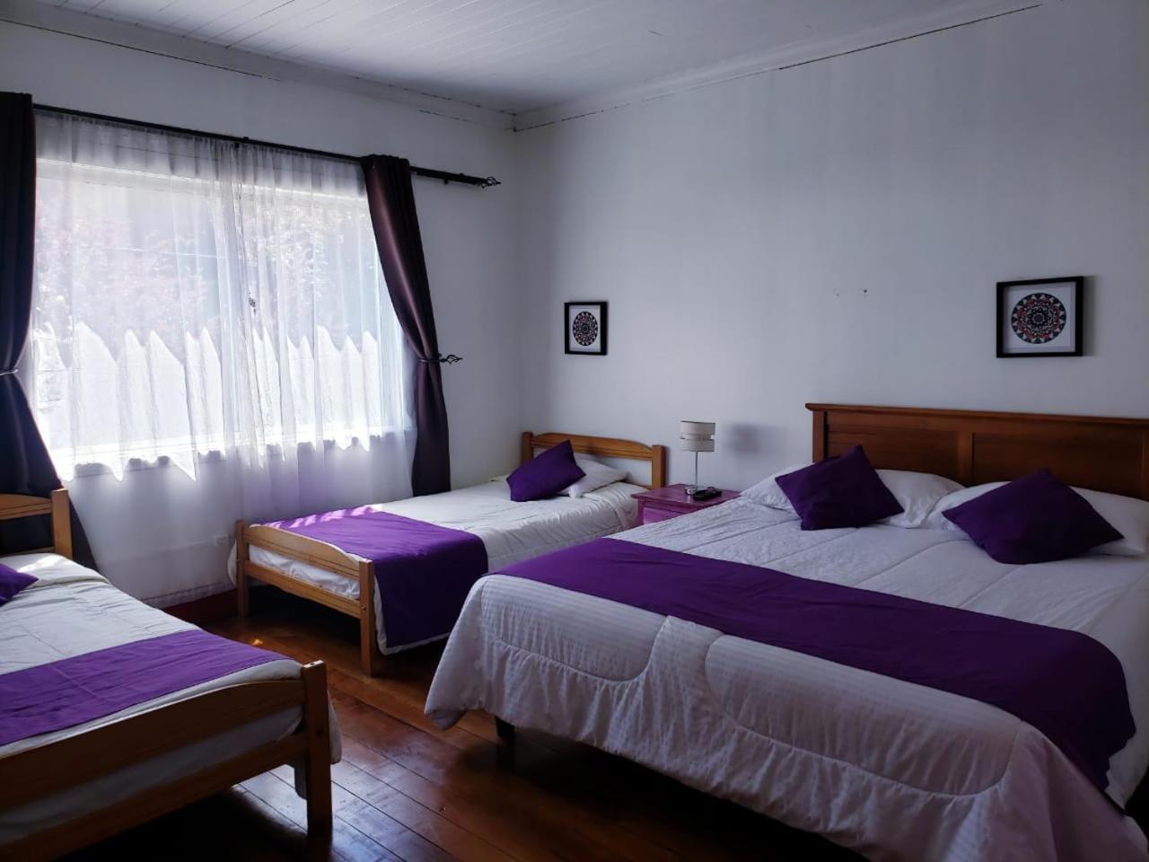Hostal Arrayan Valdivia Exterior foto